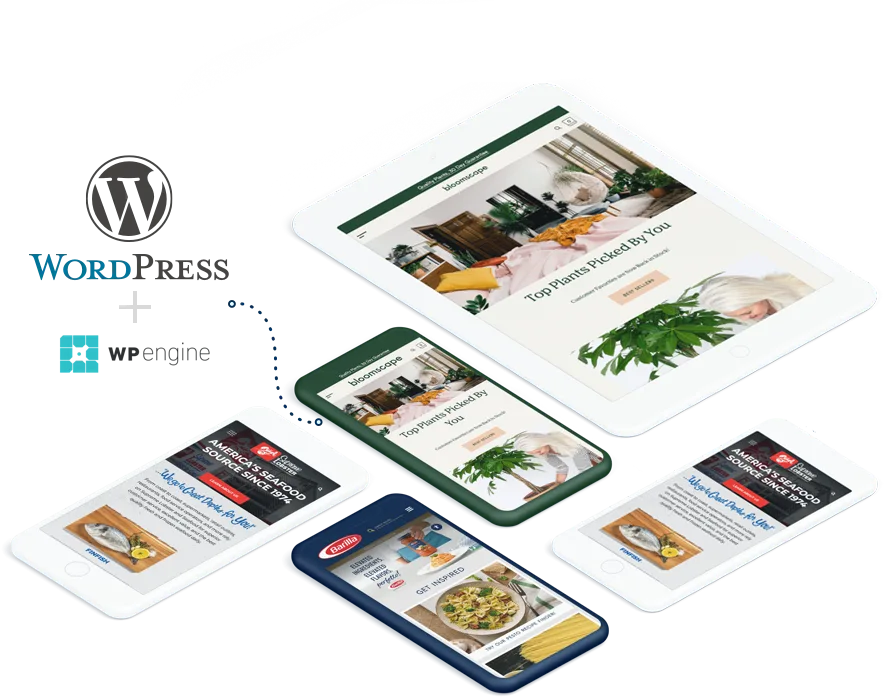 WordPress   开发 - 星空体育2